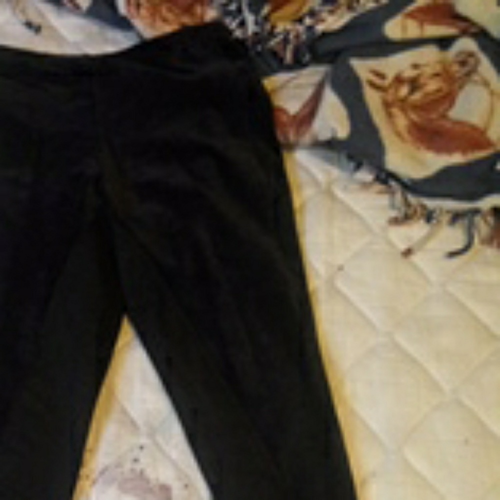 Full Seat Riding tights